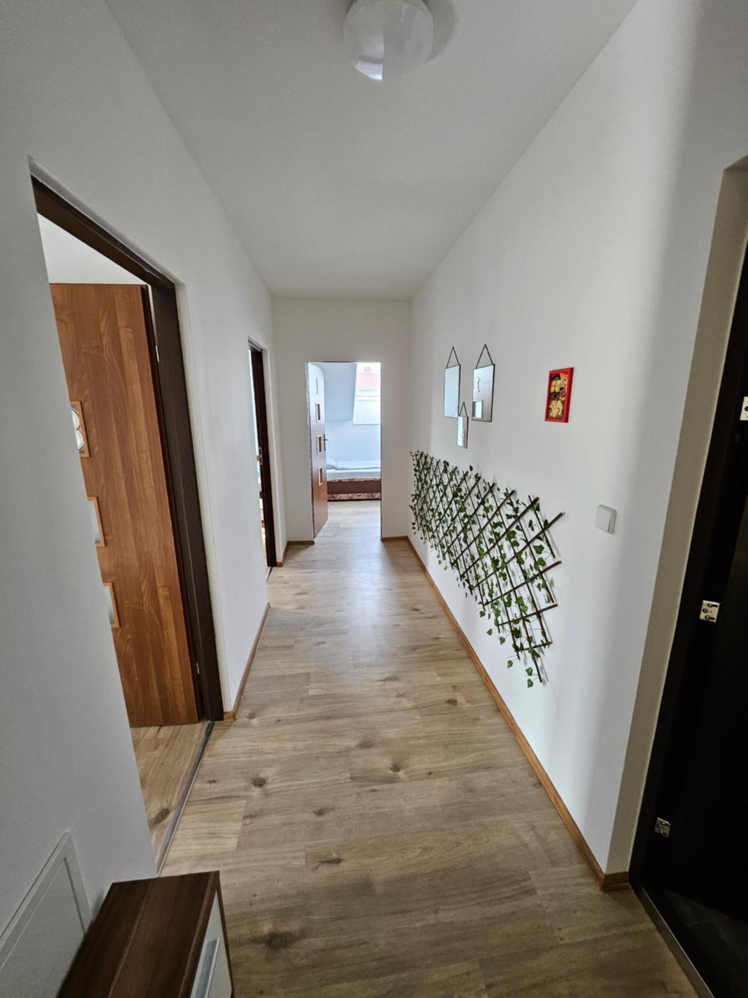Wohngemeinschaft- Einzelne Zimmer Dresden Dış mekan fotoğraf